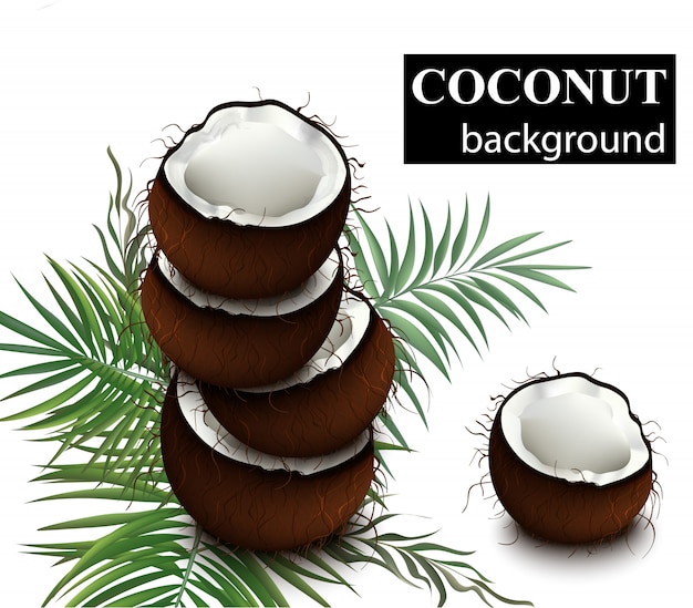 Natürliche frische kokosnussillustration
