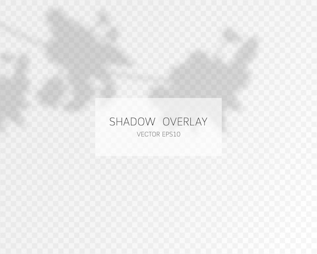 Natürliche Schatten lokalisiert auf transparentem Hintergrund