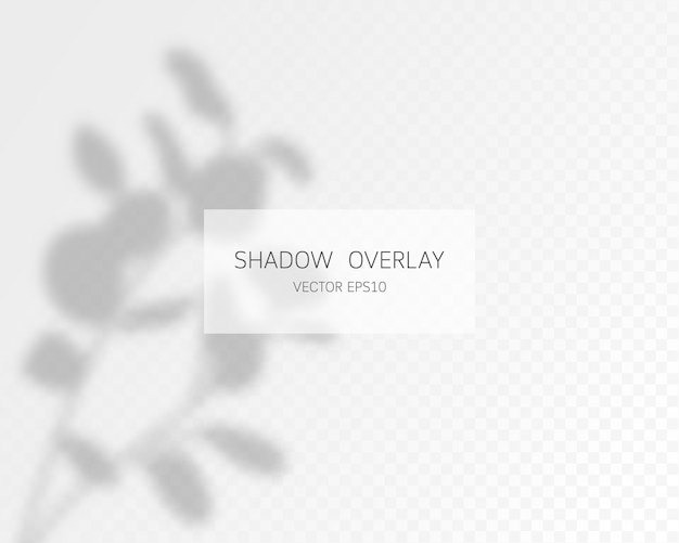 Natürliche Schatten lokalisiert auf transparentem Hintergrund
