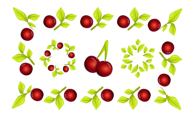 Vektor natürlicher rahmen mit roten kirschenbeeren, früchten und blättern grüne kranzvorlage natürliches design