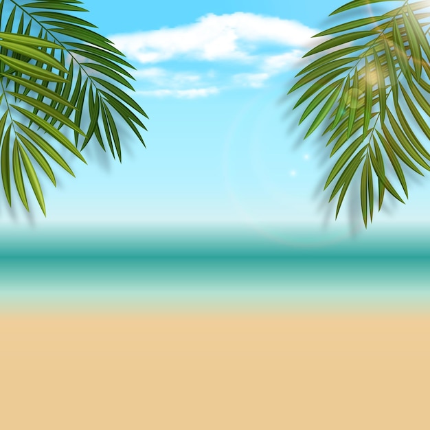 Natürlicher Sommerstrandhintergrund mit Palmblättern Vektorillustration