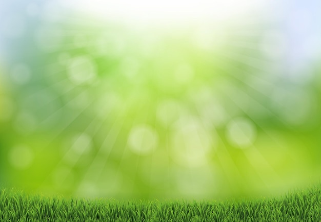 Natur-Hintergrund mit Gras und Bokeh