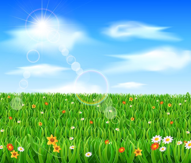 Naturhintergrund mit grünem Gras und Blumen und blauem Himmel