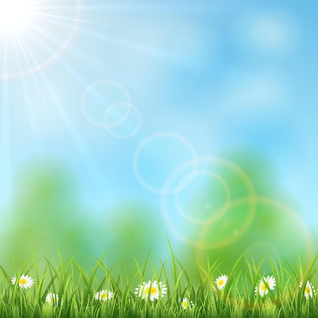 Naturhintergrund mit sonne und blumen im gras, illustration.