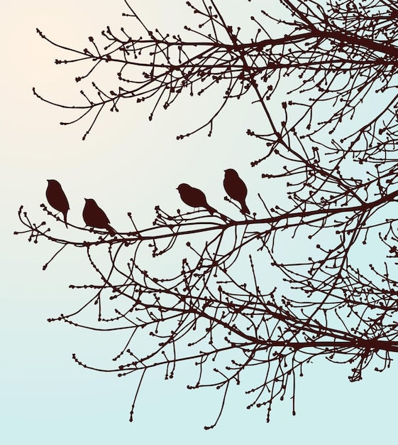 Naturhintergrund von Silhouettenvögeln auf Ästen im Frühlingswald