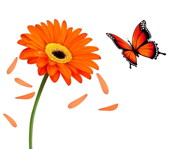 Natursommer orange blume mit schmetterling. vektor-illustration.