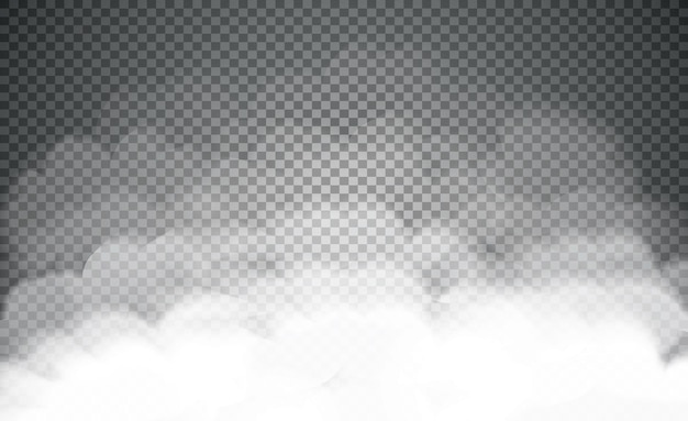 Nebel oder rauch isoliert transparent spezialeffekt weißer vektor trübung nebel oder smog hintergrund vektor-illustration