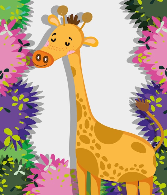 Nette giraffe