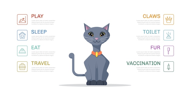 Nette illustration der katzenbedürfnisse. infografik vorlage für zoohandlung