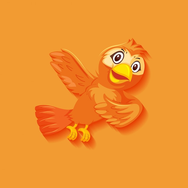 Nette orange vogelkarikaturfigur