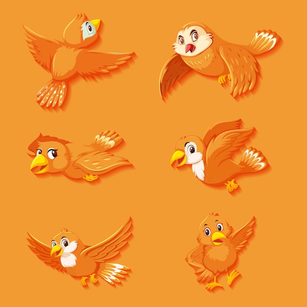 Nette orange Vogelkarikaturfigur