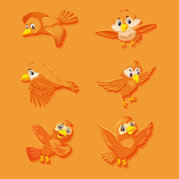 Nette orange Vogelkarikaturfigur