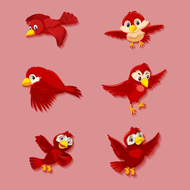 Nette rote Vogelkarikaturfigur