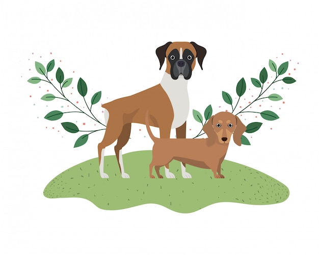 Nette und entzückende Hunde auf Weiß