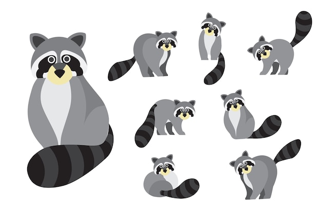 Nette Waschbärvektorillustration