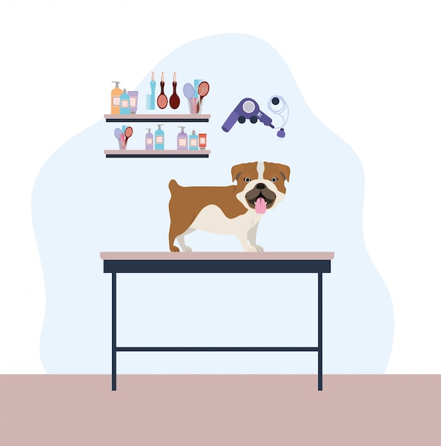 Netter Bulldoggenhundehaustiercharakter