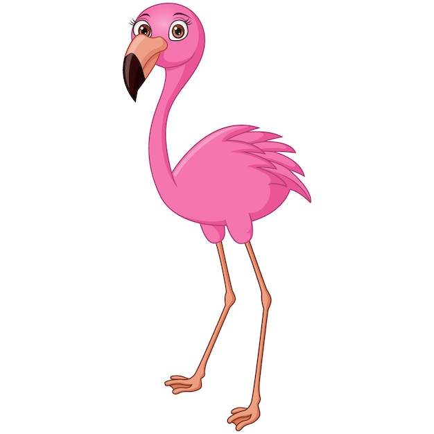 Netter flamingo-cartoon auf weißem hintergrund