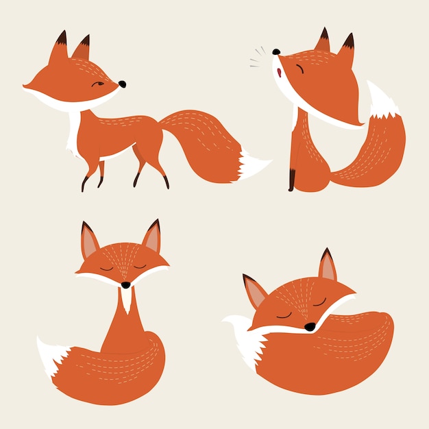 Netter Fuchs-Set.
