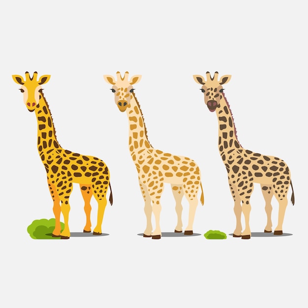 Vektor netter giraffenvektorsatz der flachen karikaturart