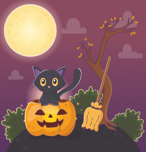 Netter katzenkürbis und besen halloween