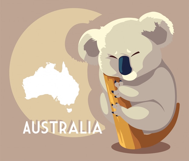 Netter Koala mit Karte von Australien