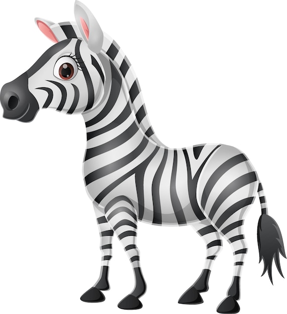 Nettes babyzebra auf weißem hintergrund