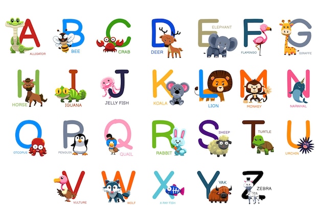 Nettes tieralphabet für kindererziehungseinführungslektion