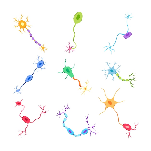 Vektor neuronensatz-cartoon-vektor-illustration