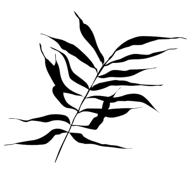 Niederlassungsschattenbild mit Blätternvektorillustrationselement
