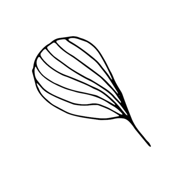 Vektor niedliche einzelne handgezeichnete florale elemente. doodle-vektor-illustration für hochzeitsdesign, logo und grußkarte.