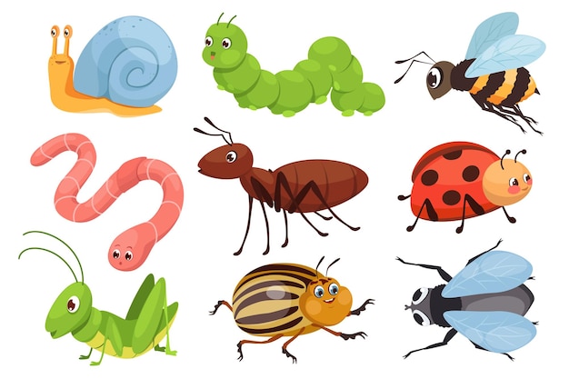 Niedliche insekten-mega-set in grafischem, flachem design. bündelelemente lustiger maskottchen, schnecke, raupe, biene, wurm, ameise, marienkäfer, heuschrecke, colorado-käfer, fliege. vektorillustration isolierter objekte