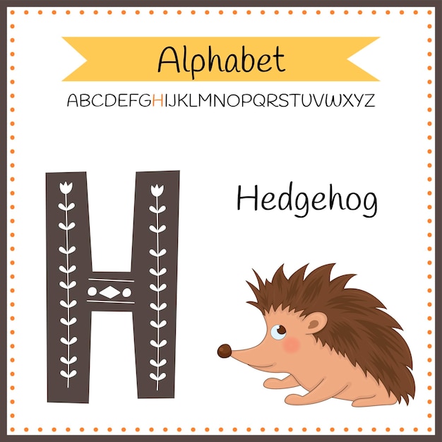 Niedliche kindertieralphabet h-buchstaben-flashcard von igel für kinder, die englisches vokabular lernen