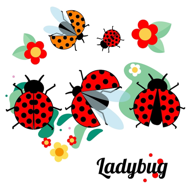 Vektor niedliche marienkäfer mit bunten blumen frühlings-sommer-illustration