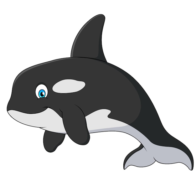 Vektor niedliche orca-cartoon-illustration killerwal niedlicher cartoon