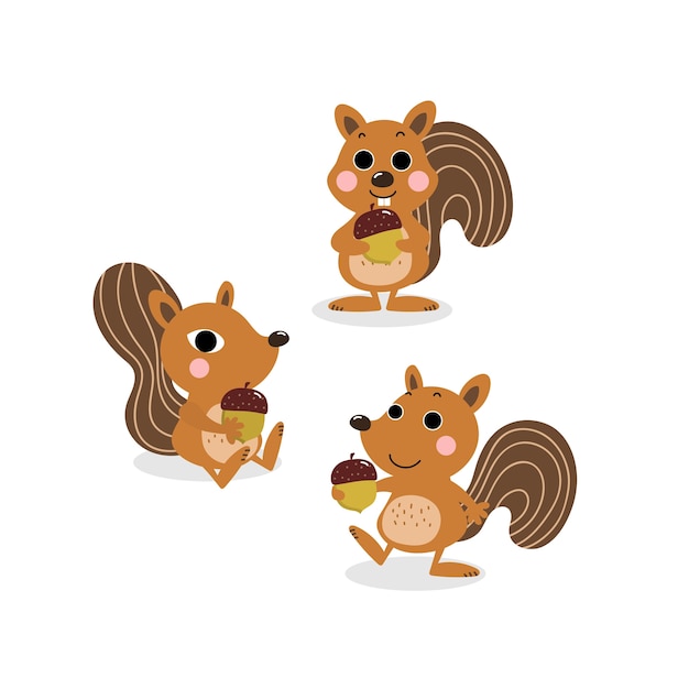 Niedlichen eichhörnchen und nuss cartoon vektor
