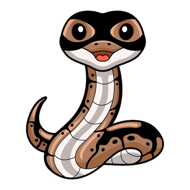 Niedlicher Ballpythonschlangen-Cartoon