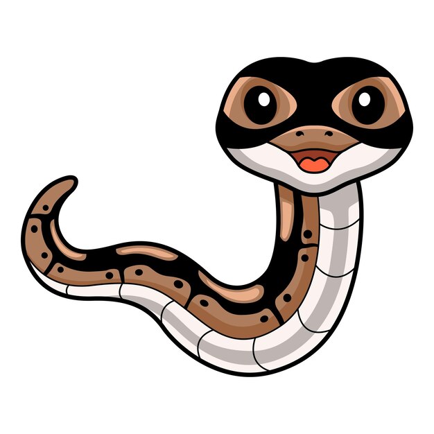 Niedlicher Ballpythonschlangen-Cartoon