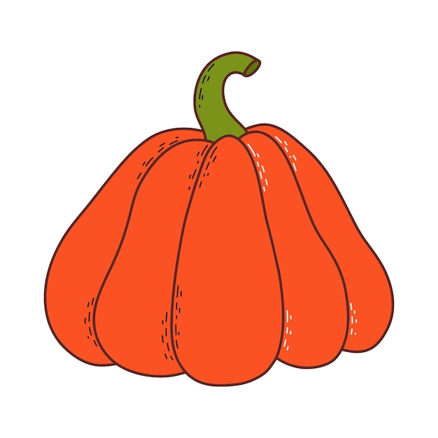 Niedlicher kürbis thanksgiving und halloween-element vektorillustration im handgezeichneten stil