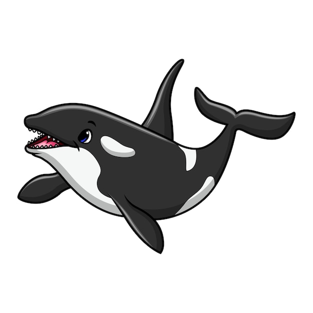 Vektor niedlicher orca-cartoon beim schwimmen