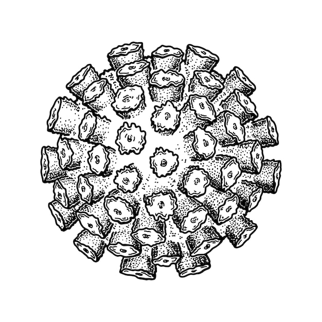 Norovirus isoliert auf weißem hintergrund