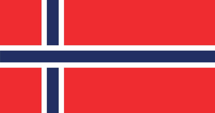 Vektor norwegen-flagge im vektor