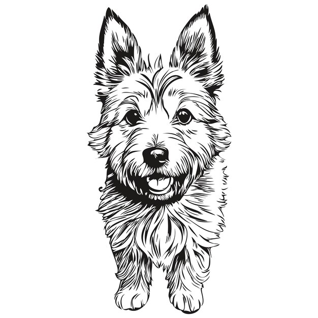 Norwich terrier hund haustier skizze illustration schwarz-weiß gravur vektor realistische rasse haustier