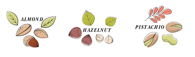 Nüsse farblinie symbole gesetzt nüsse sind die hartschaligen früchte bestimmter pflanzen cashew-haselnuss-mandel-walnuss-erdnuss-pistazien vektor-illustration im cartoon-flat-stil