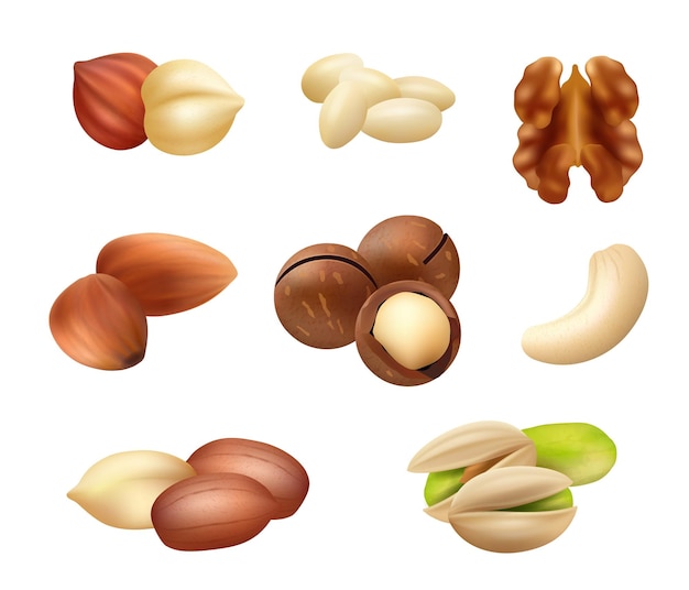 Nüsse realistisch Gesunde Nahaufnahme Naturprodukte Kakao Erdnuss Kaffeebohnen Mandeln Aroma Korn anständige Vektor-Snack-Sammlung Set