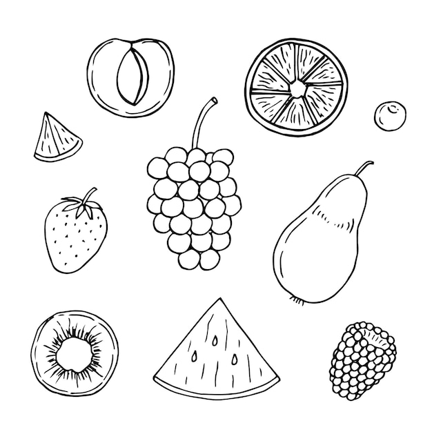 Vektor obst set vektor illustration handzeichnung kritzeleien