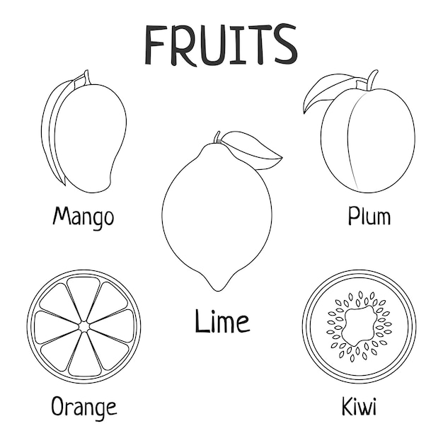 Obst-vektor-sammlung