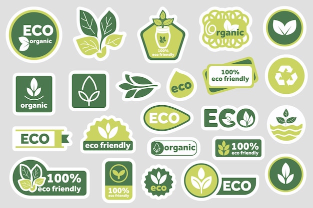 Öko-freundliche Aufkleber setzen Elemente in flachem grafischem Design Sammlung grüner ökologischer Etiketten für Lebensmittelverpackungen mit bio-organischen natürlichen Wörtern Recycling und Blattzeichen andere Vektorillustration