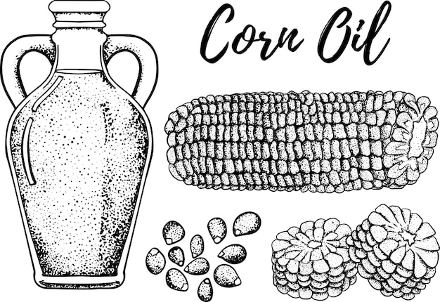 Ölset handgezeichnete vektorgrafiken maisöl verwendung für kosmetische produkte oder lebensmittel