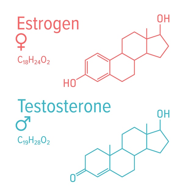 Östrogen- und testosteronhormone vektor chemische formeln