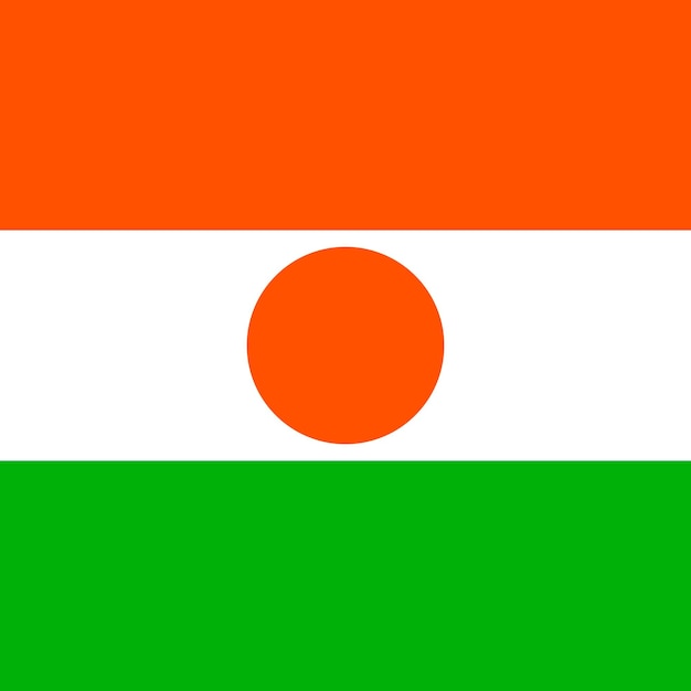 Offizielle farben der niger-flagge vektorillustration